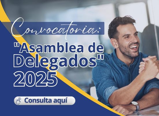 Convocatoria Asamblea de Delegados 2025